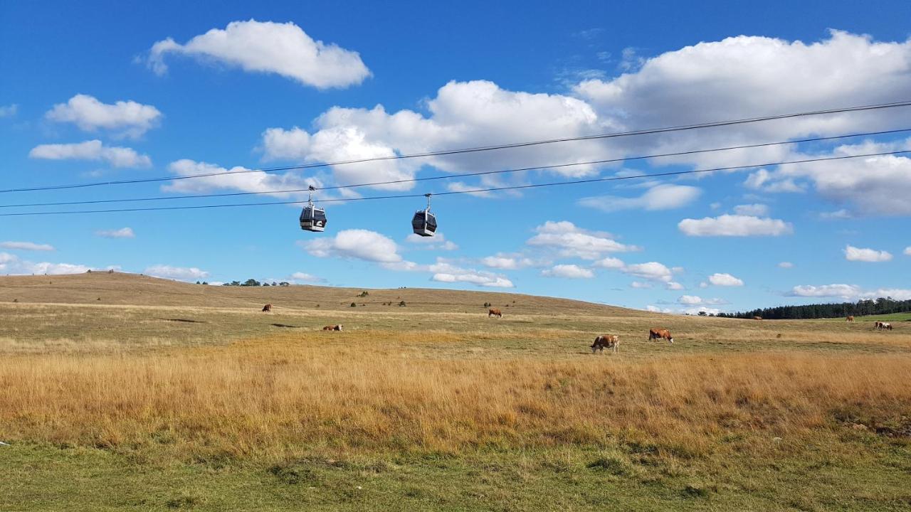 Zlatibor Apartmani Dm Tornik Kültér fotó