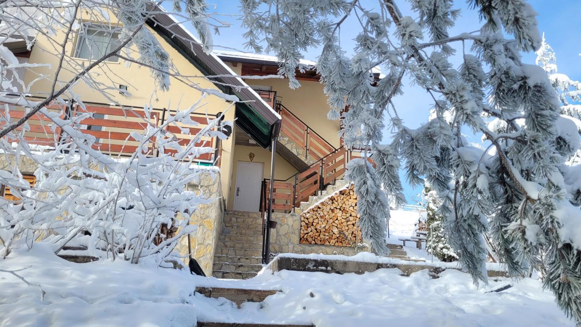 Zlatibor Apartmani Dm Tornik Kültér fotó