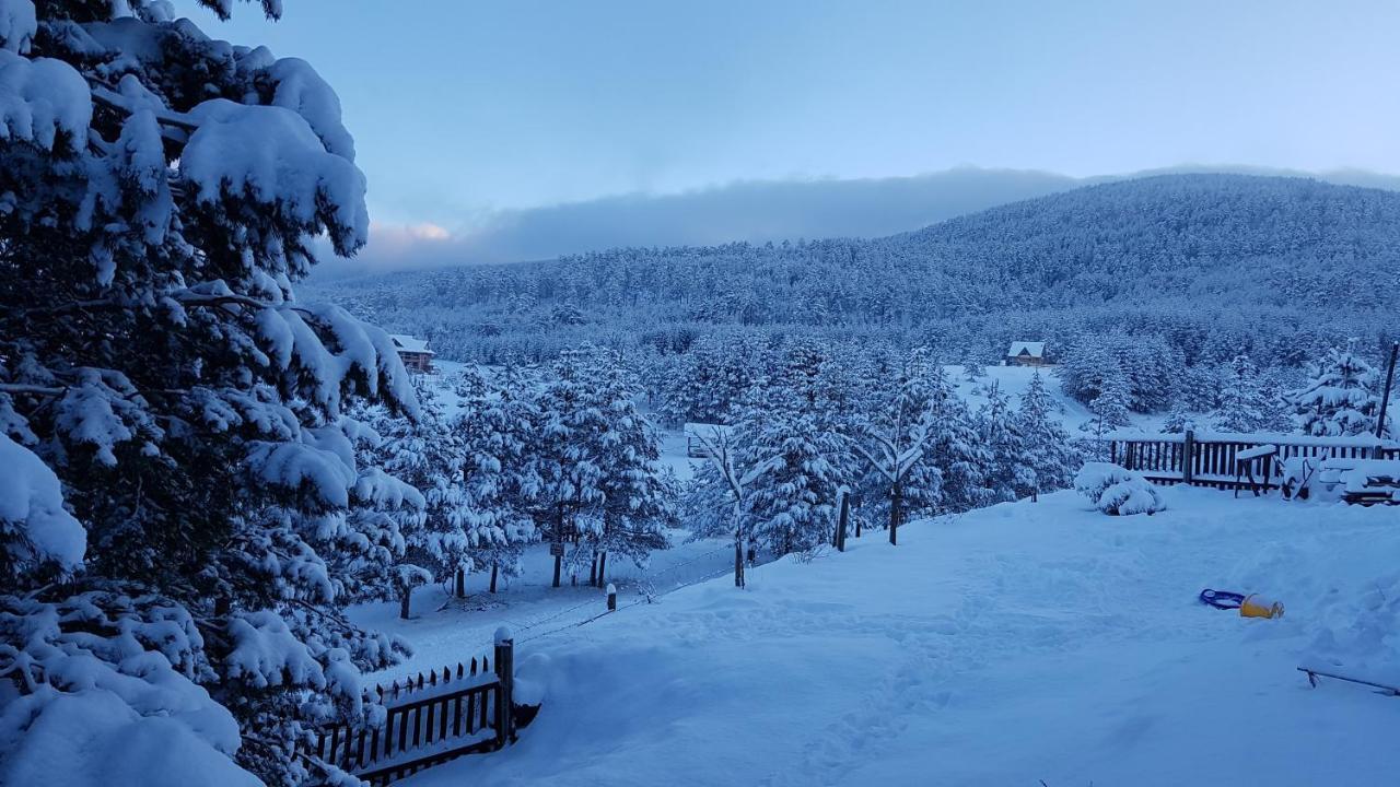Zlatibor Apartmani Dm Tornik Kültér fotó