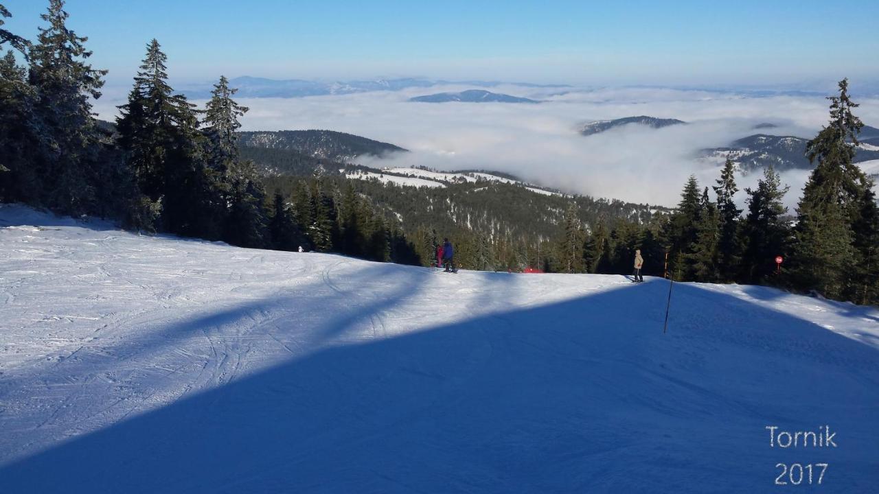 Zlatibor Apartmani Dm Tornik Kültér fotó