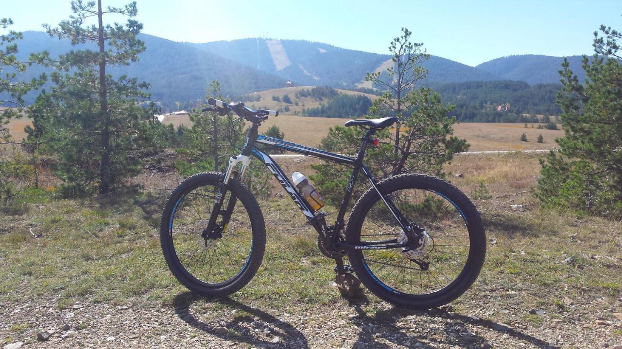 Zlatibor Apartmani Dm Tornik Kültér fotó