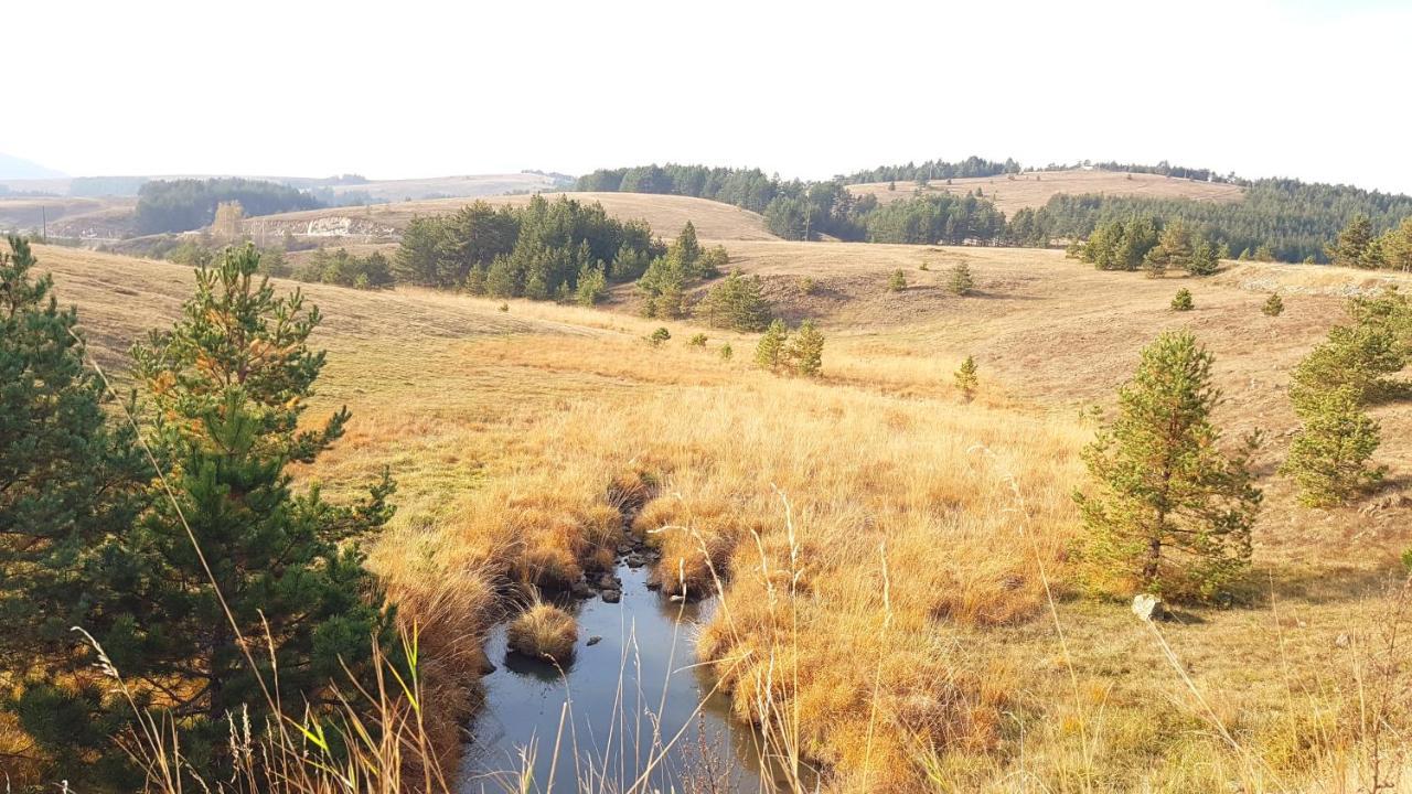 Zlatibor Apartmani Dm Tornik Kültér fotó
