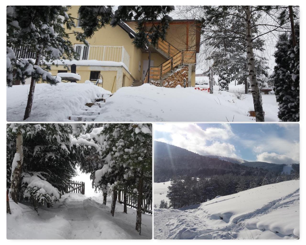 Zlatibor Apartmani Dm Tornik Kültér fotó